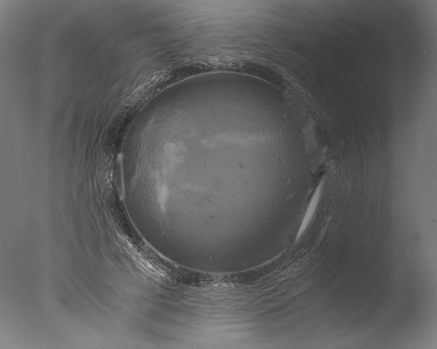 X0000076330593200610201707