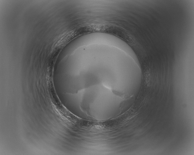 X0000076330594200610201707