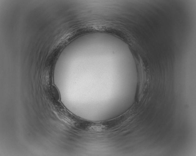 X0000076330595200610201707