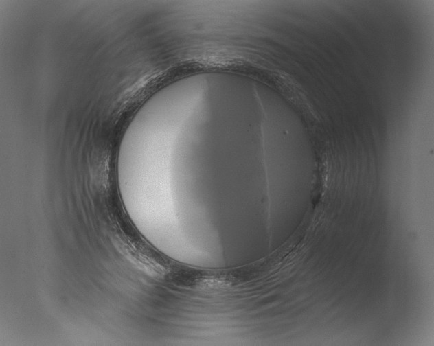 X0000076330596200610201707