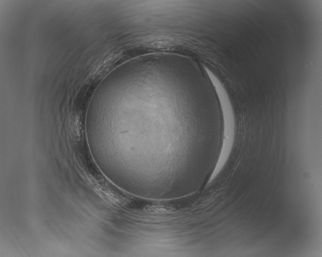 X0000076330597200610201707