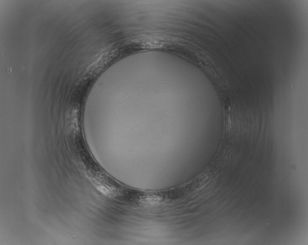 X0000076330598200610201707