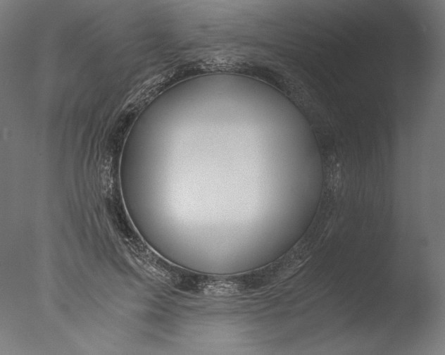 X0000076330599200610201707