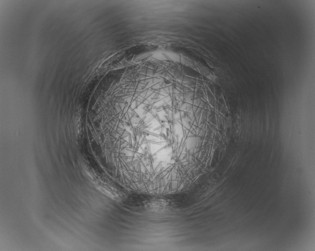 X0000076330600200610201707