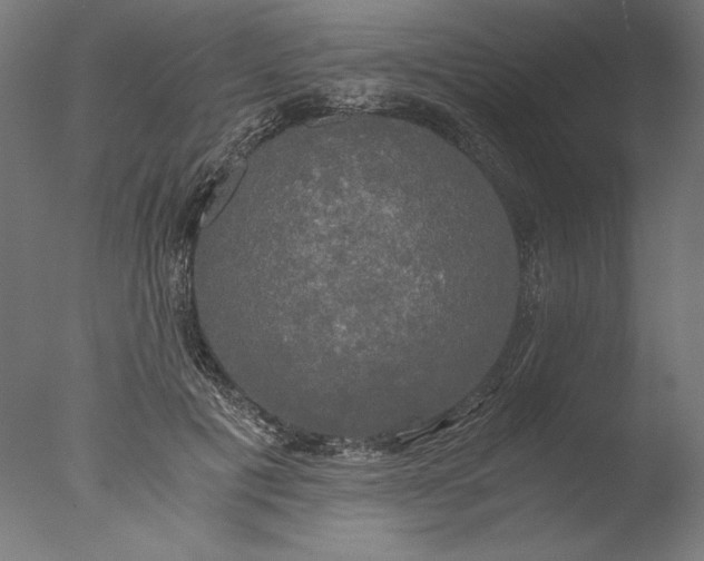 X0000076330601200610201706