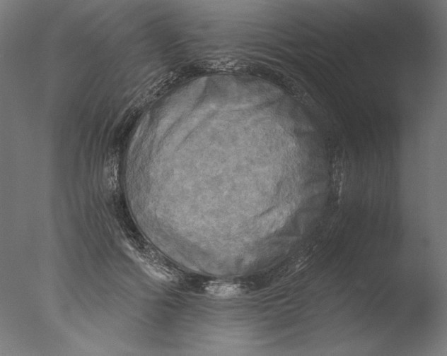 X0000076330602200610201706