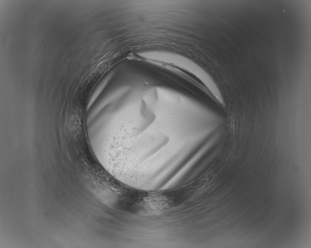 X0000076330603200610201706