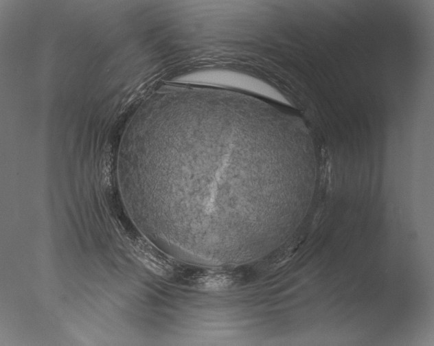 X0000076330604200610201706