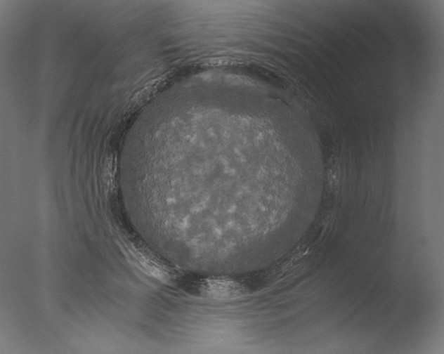 X0000076330605200610201706