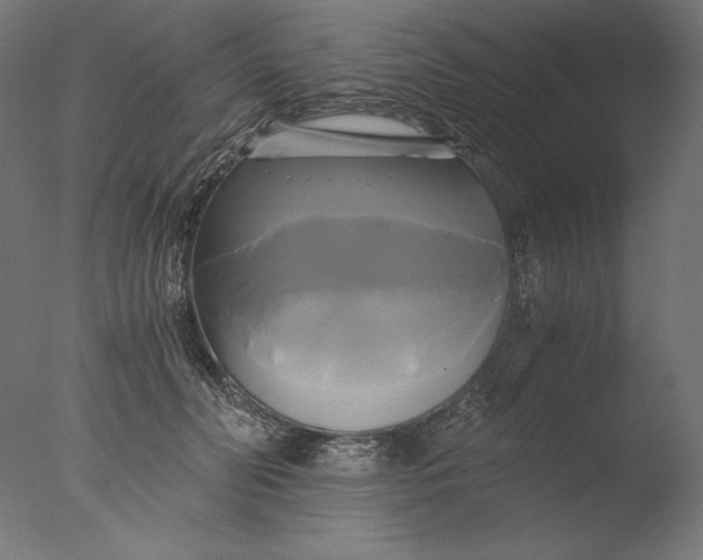 X0000076330606200610201706