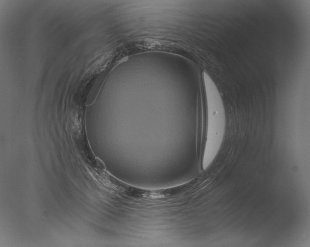 X0000076330607200610201706