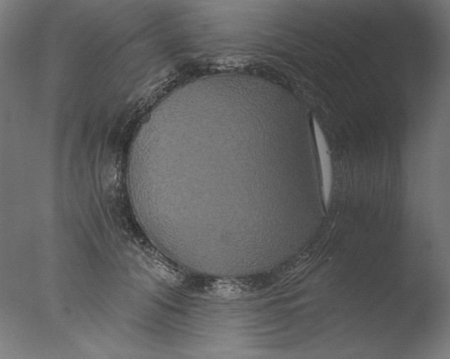 X0000076330608200610201706