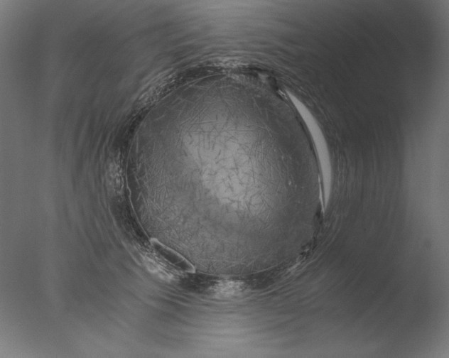 X0000076330609200610201706