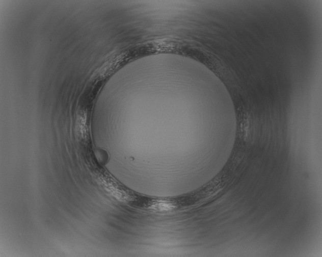 X0000076330610200610201706