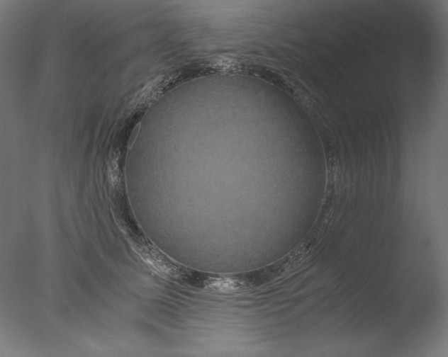 X0000076330611200610201706