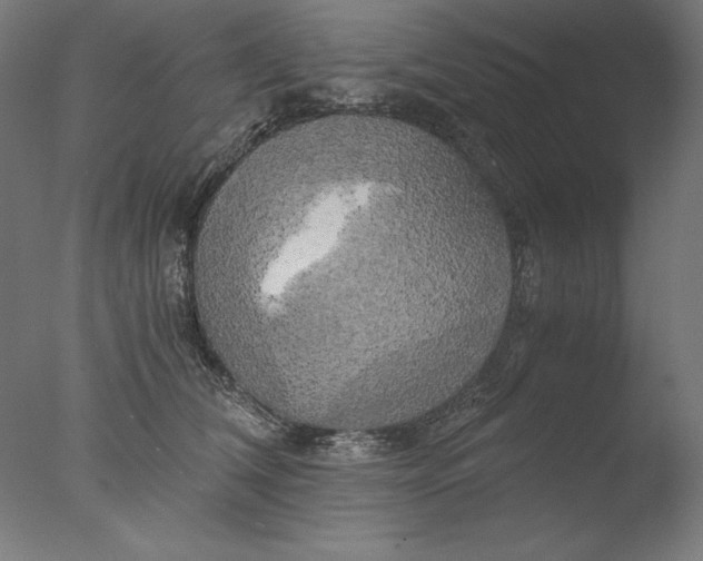 X0000076330612200610201706