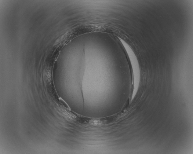 X0000076330613200610201706