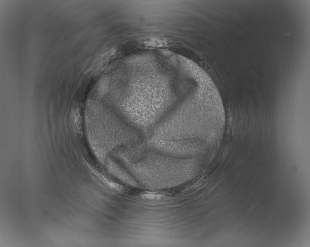 X0000076330614200610201706