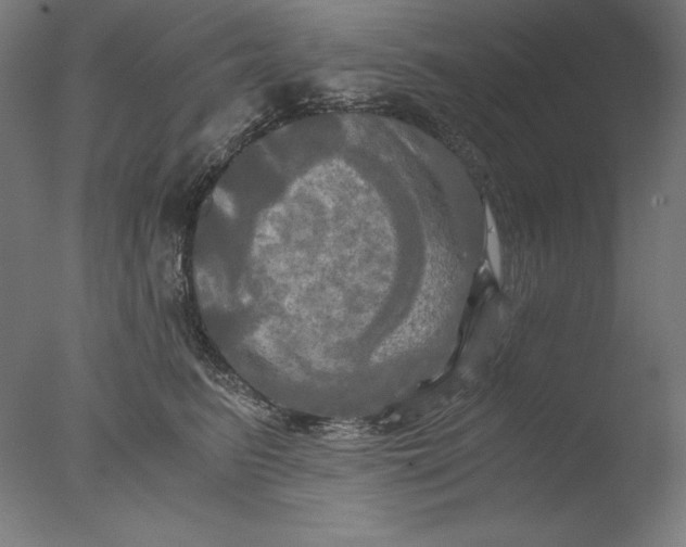 X0000076330615200610201706