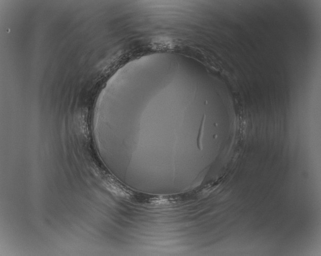 X0000076330616200610201706