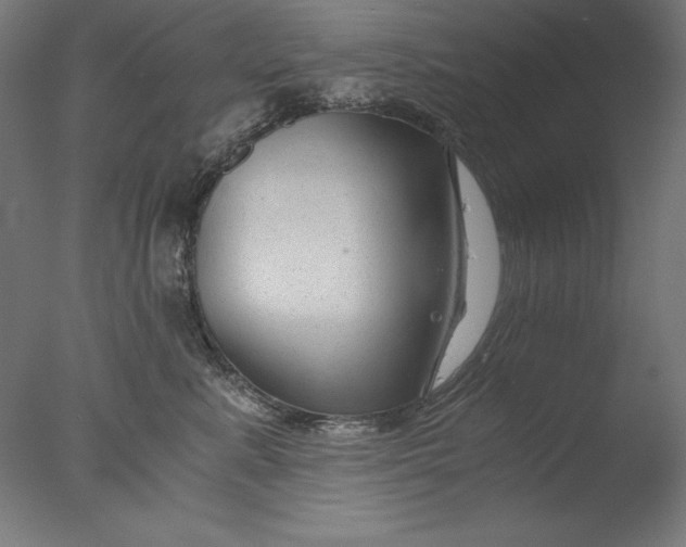 X0000076330619200610201706