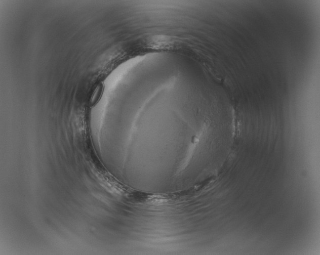 X0000076330620200610201706