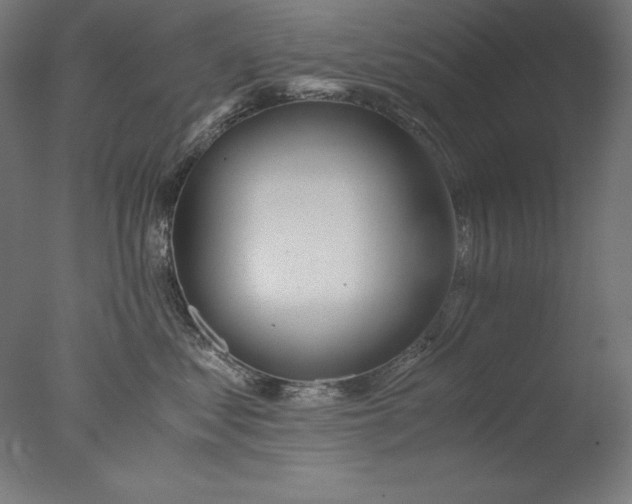 X0000076330621200610201706