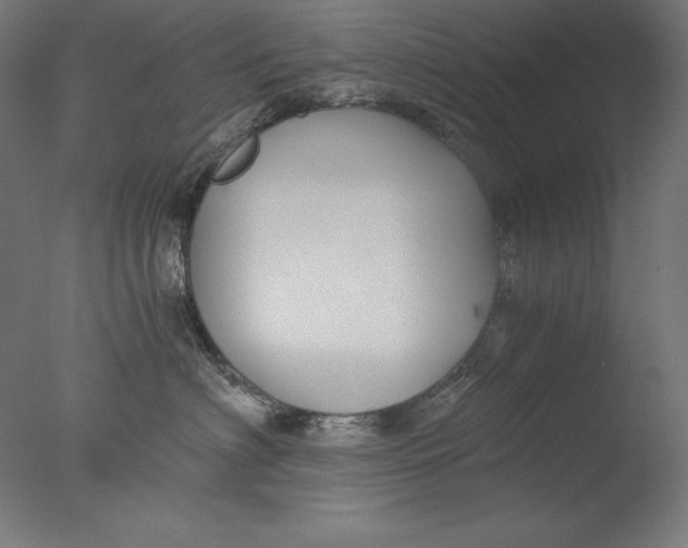 X0000076330622200610201706