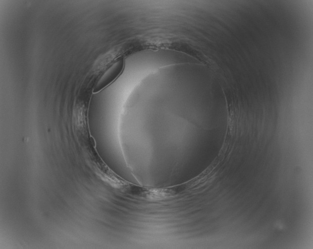 X0000076330623200610201706