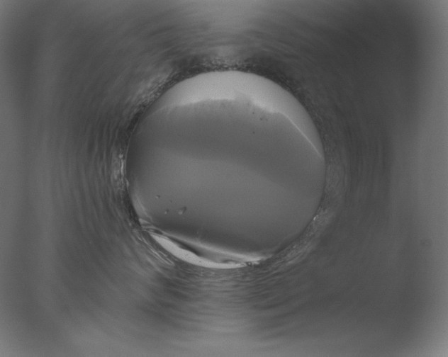 X0000076330624200610201706