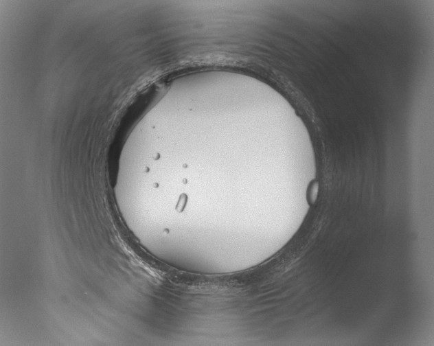 X0000076330625200610201705