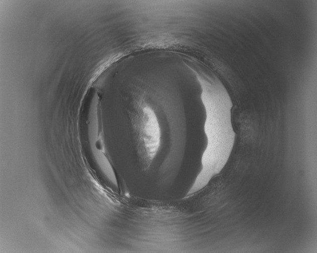 X0000076330626200610201705