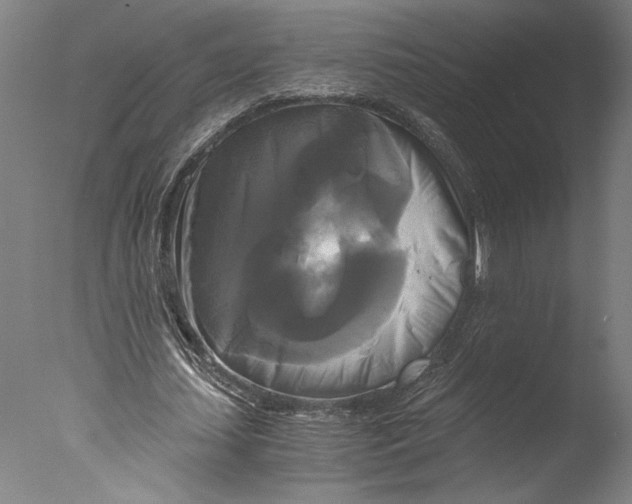 X0000076330627200610201705