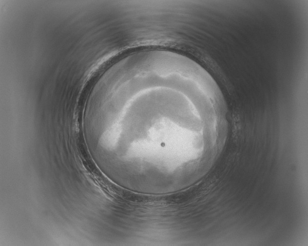 X0000076330628200610201705