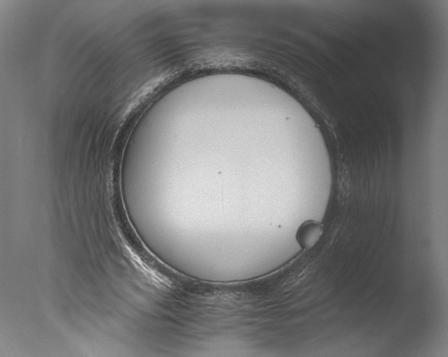 X0000076330629200610201705