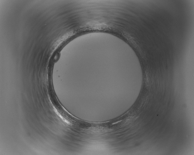 X0000076330630200610201705