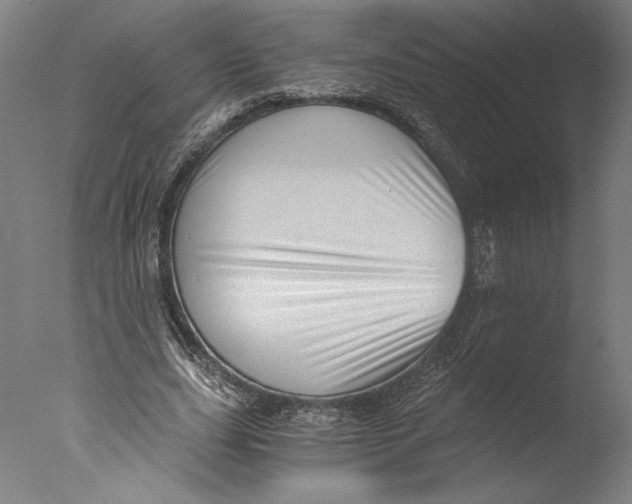 X0000076330631200610201705