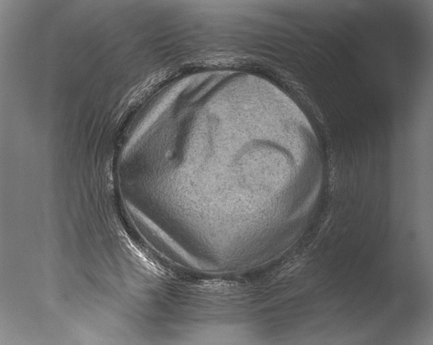 X0000076330633200610201705