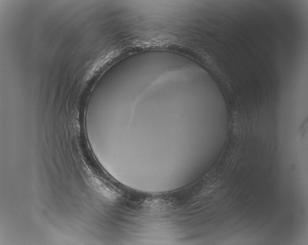 X0000076330634200610201705