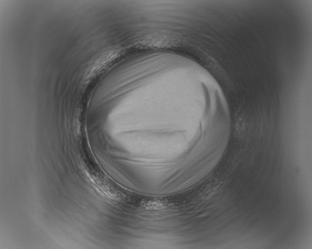 X0000076330635200610201705