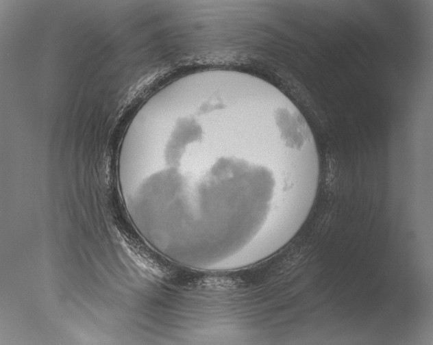 X0000076330636200610201705