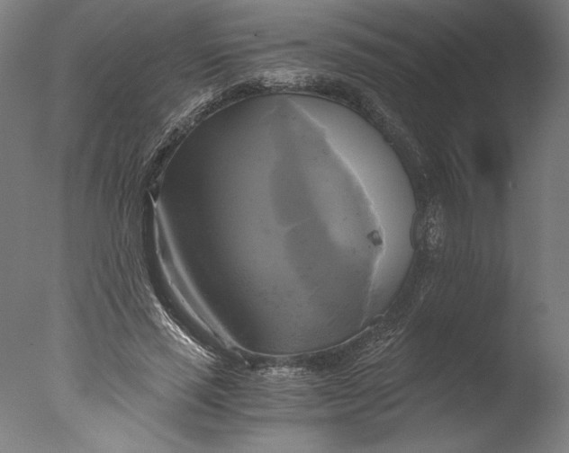 X0000076330637200610201705