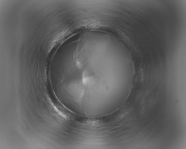 X0000076330638200610201706