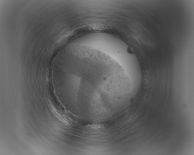 X0000076330639200610201706