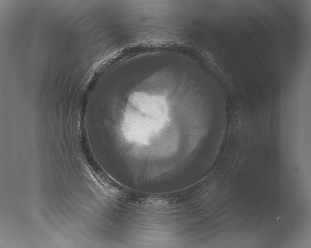 X0000076330640200610201706