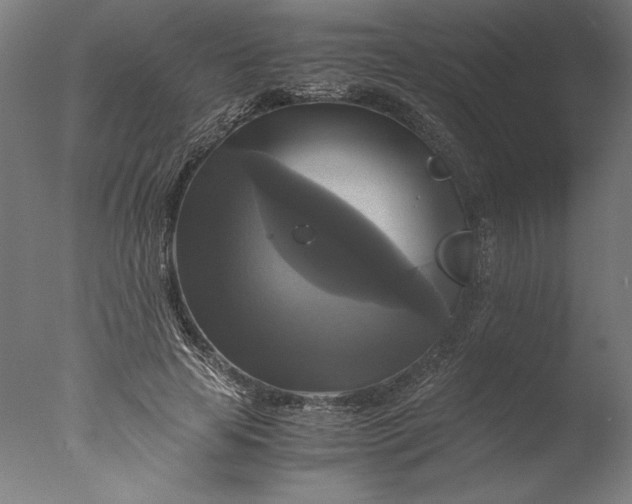 X0000076330641200610201706