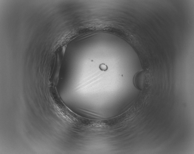 X0000076330642200610201706