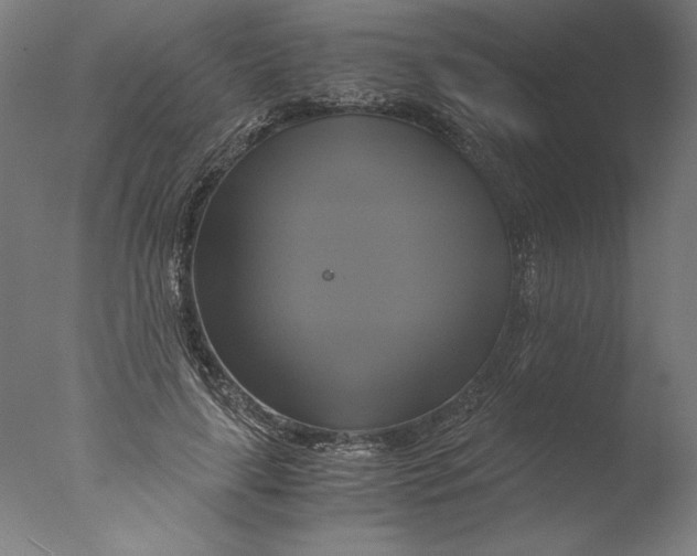 X0000076330643200610201706