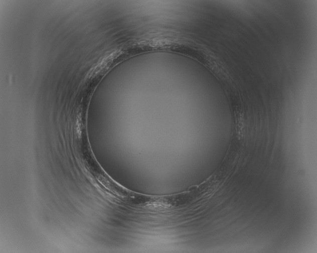 X0000076330644200610201706