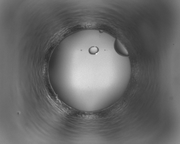 X0000076330645200610201706